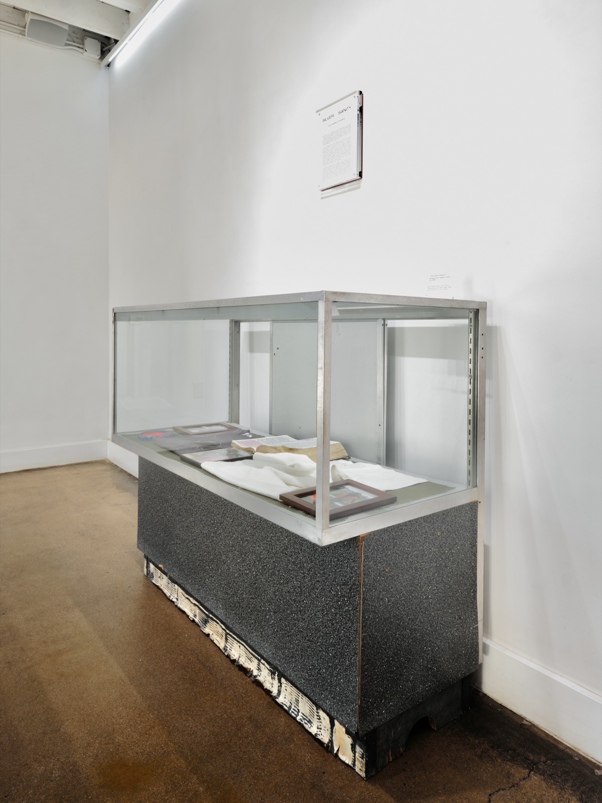 Silver Sanity, installation view, 2 of 9