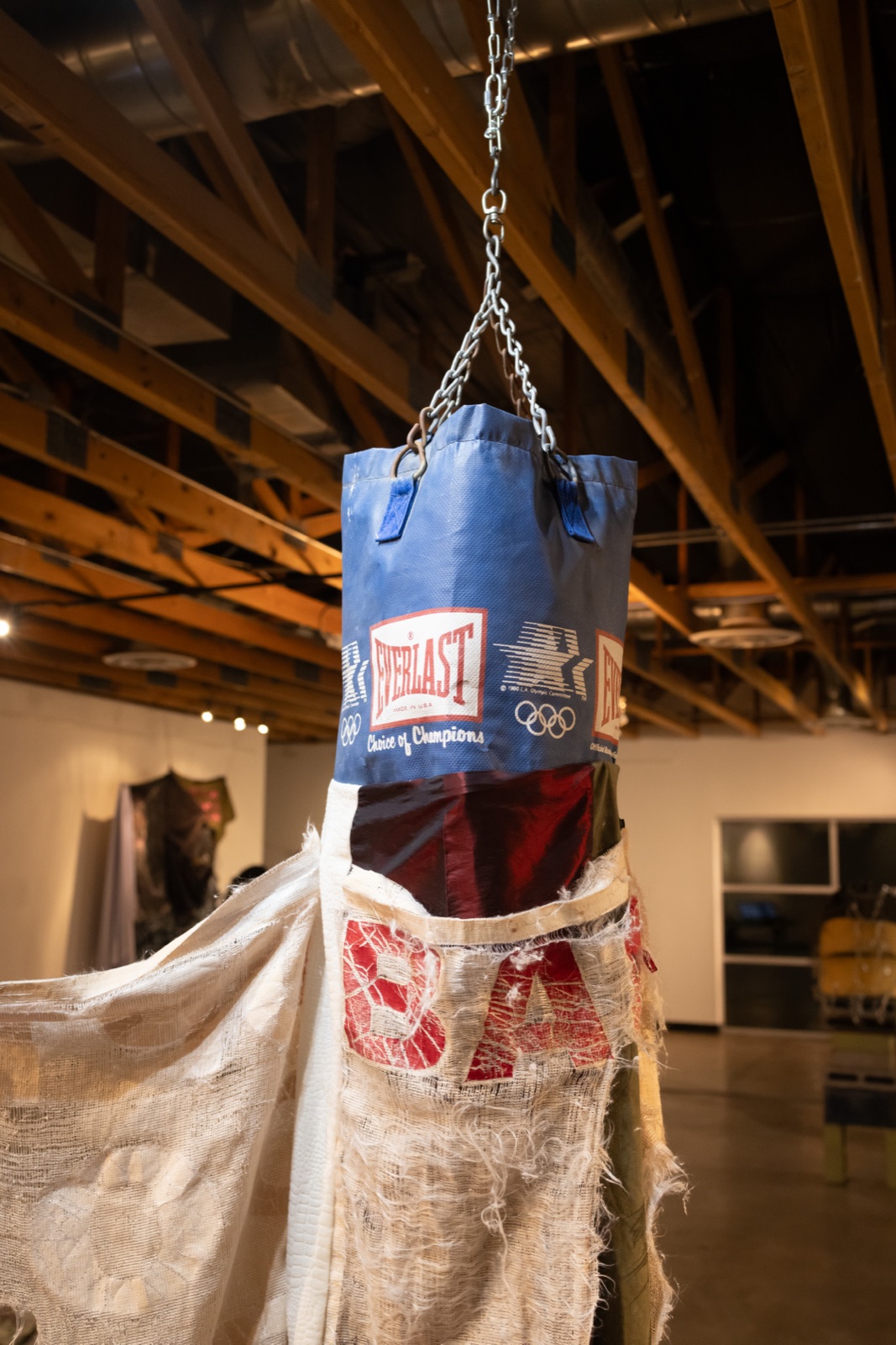 Relics of The Chameleon, installation view, 7 of 11