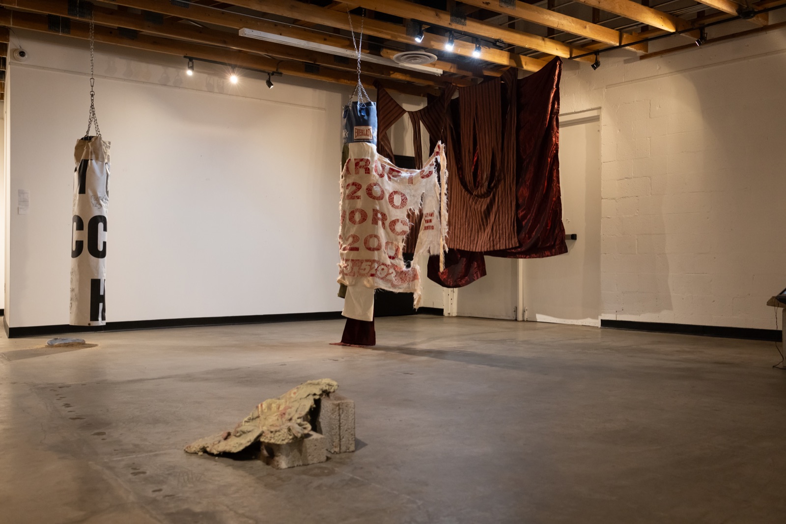 Relics of The Chameleon, installation view, 5 of 11