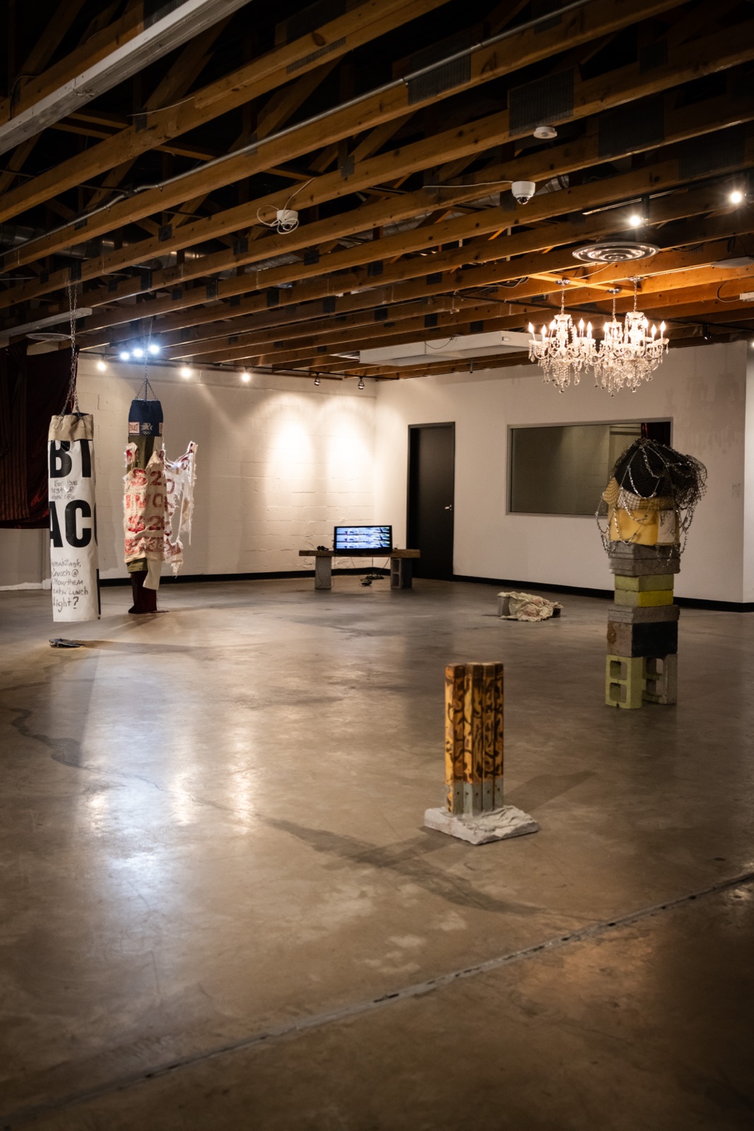 Relics of The Chameleon, installation view, 1 of 11