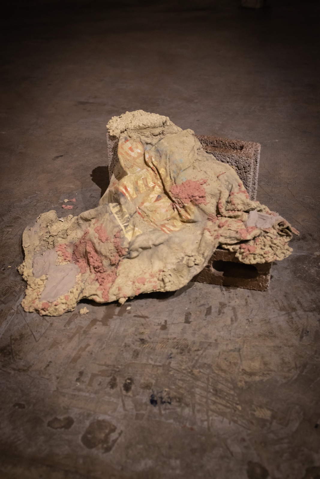 Relics of The Chameleon, installation view, 2 of 11