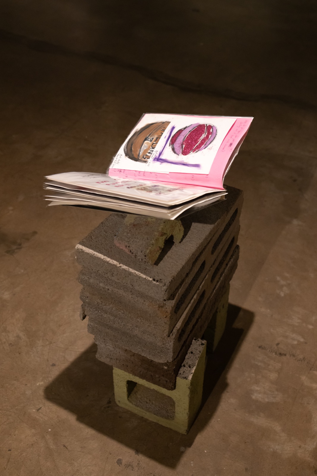 Relics of The Chameleon, installation view, 3 of 11