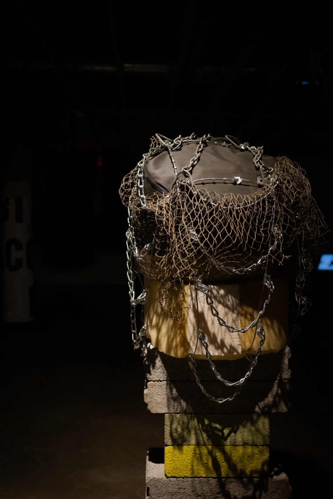 Relics of The Chameleon, installation view, 9 of 11
